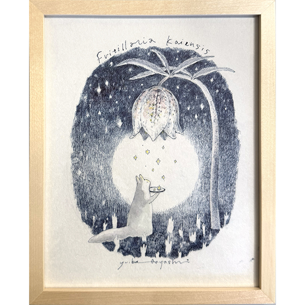 林ゆいか　雪解けのかけら