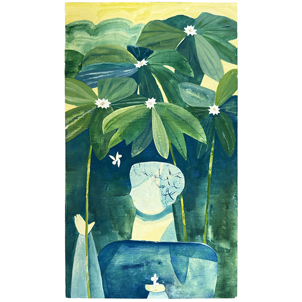 シバタリョウ　キヌガサソウ